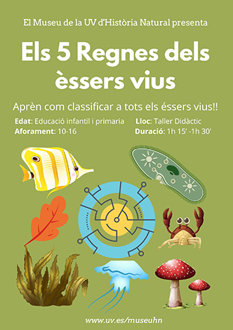 Taller Els 5 regnes dels Éssers Vius