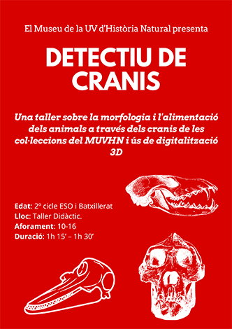 Taller Detectives de Cráneos