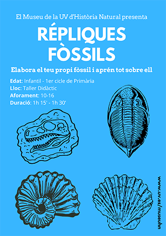 Taller Réplicas Fósiles