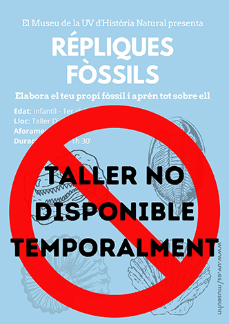 Taller Réplicas Fósiles