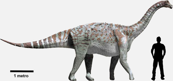 Comparación Lirainosaurus astibiae humano
