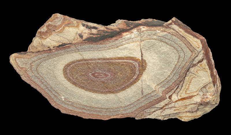 Roca sedimentaria