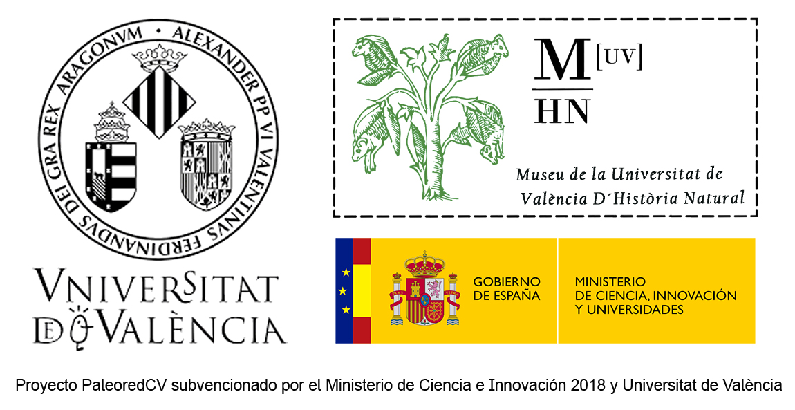 Universitat de València - Museo de la UV de Historia Natural - Ministerio de Ciencia, Innovacion y Universidades