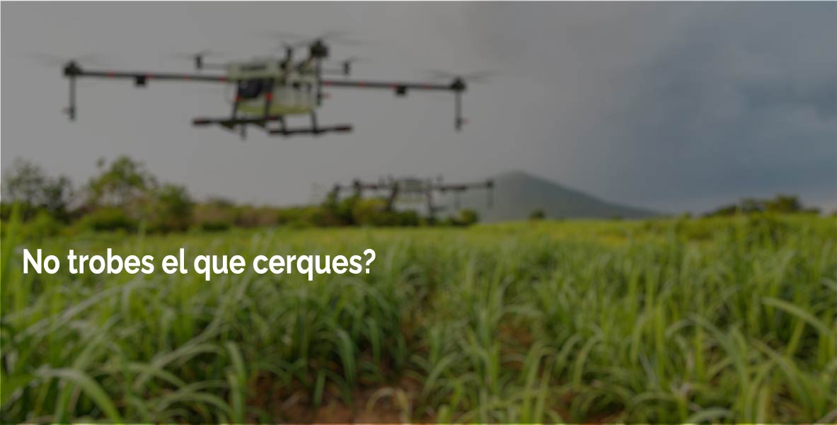 Contacte OCT Agroalimentació UV