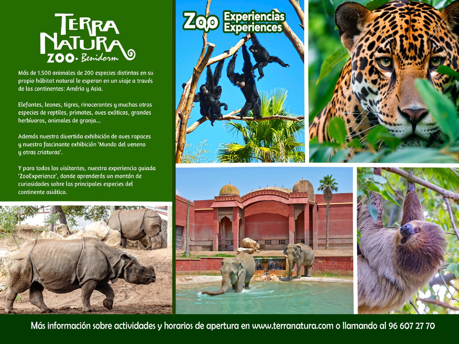Terra Natura