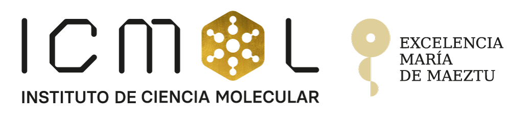 Instituto de Ciencia Molecular