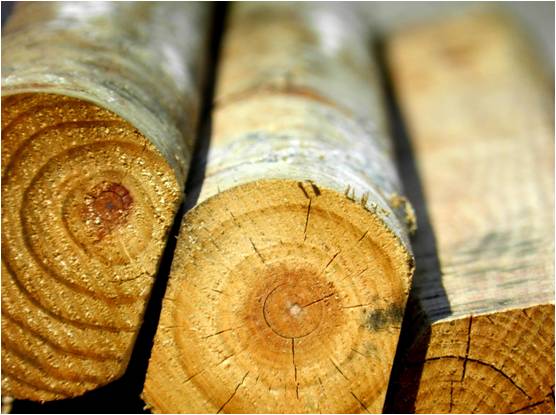 Método resistivo y sistema para la medida de la humedad en madera