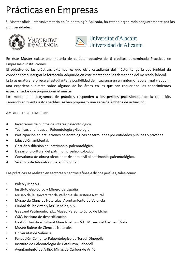 Información Prácticas en Empresa