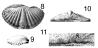 prev. Hysterolites