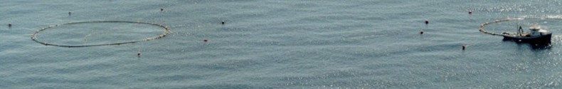 Med_aquaculture