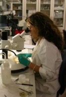 microscope