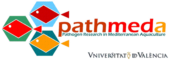 pathmeda logo