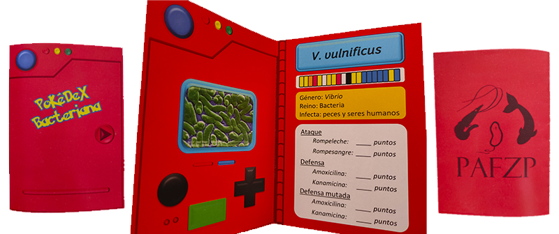 Fotos d'un exemple de Pokédex bacteriana