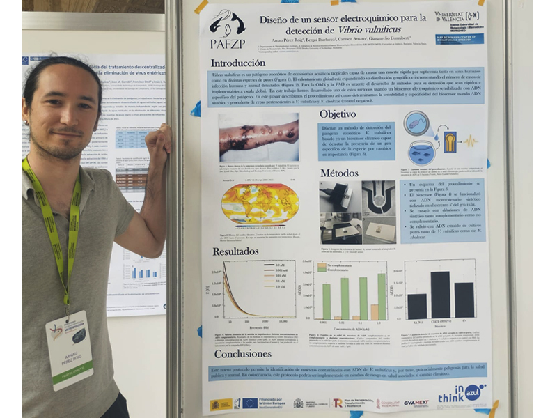 Poster Arnau sobre el sensor per a la deteccio de Vibrio vulnificus
