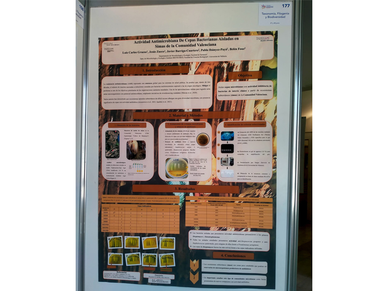 Poster sobre els avencs i els bacteris antimicrobians