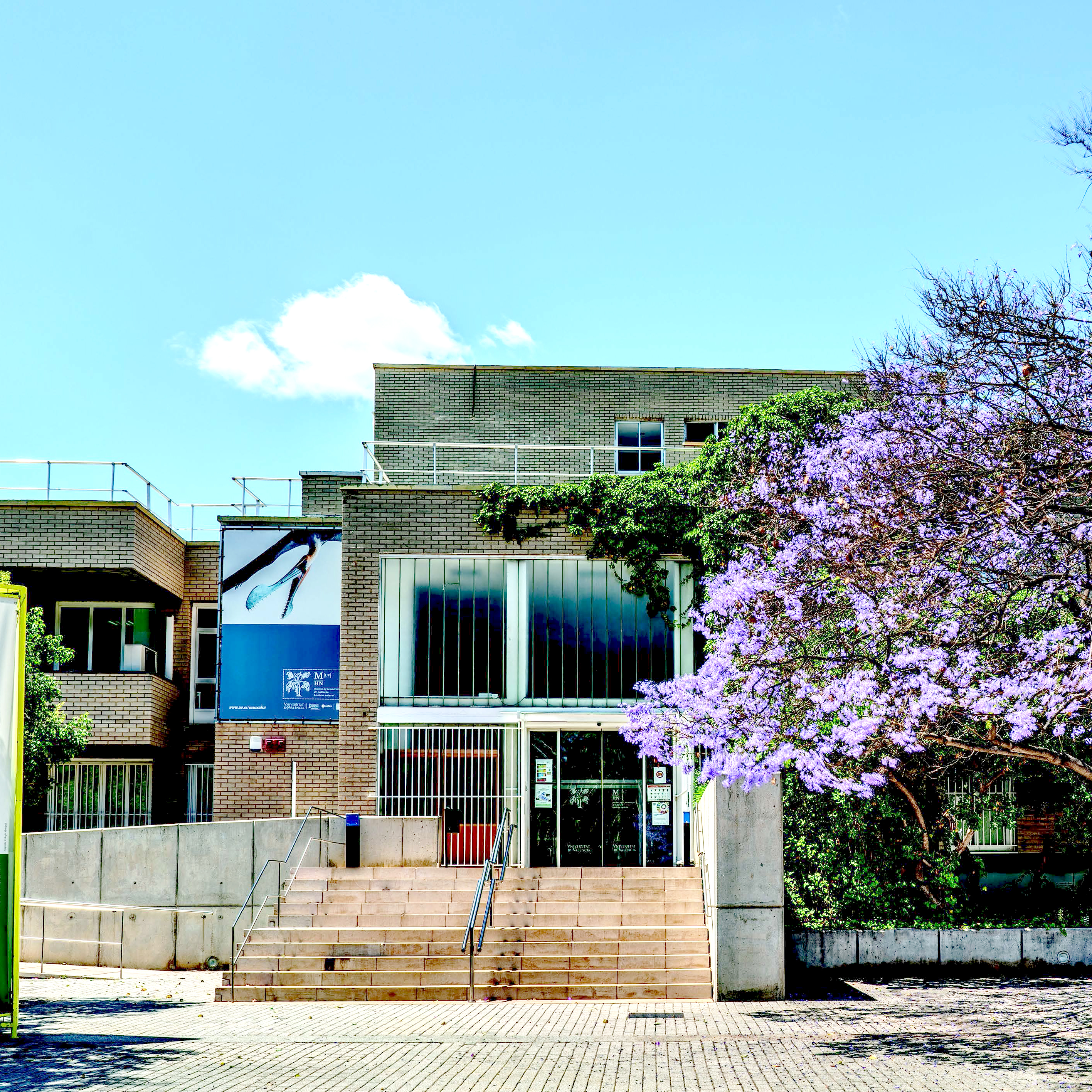 Museu d'Història Natural