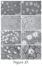 Figure 27.