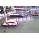 A l'estació d'Atocha viuen moltes tortugues!