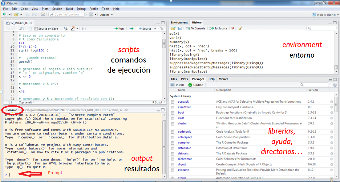 Figura 5. Aspecto general de RStudio