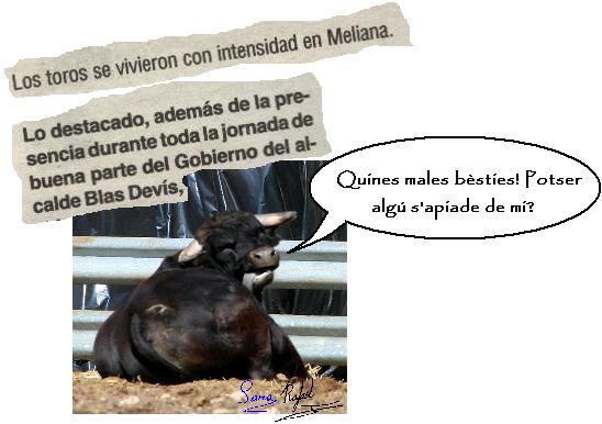Toros en Meliana en presencia del Gobierno del alcalde Blas Devís: Quines males bèsties! Potser algú s'apiade de mi?