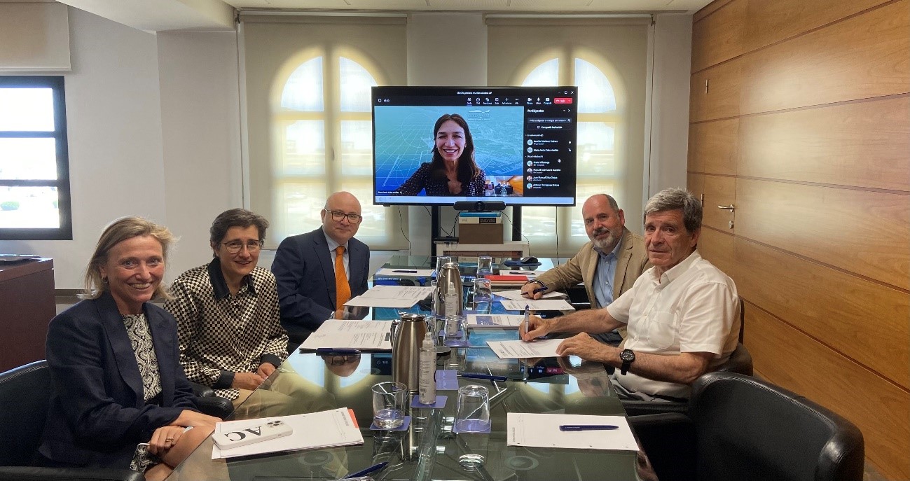 Comissió mixta durant la constitució