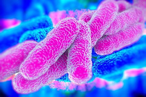 legionella