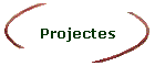 Projectes