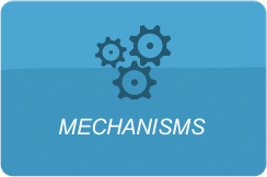 Mechanisms