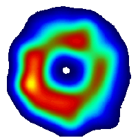 Shell-like Radiosupernova Structure