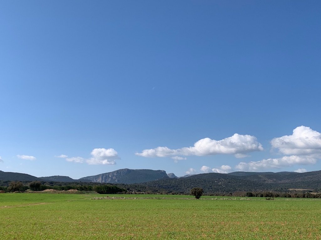 imagen de los sembraos en el llano de El Toro