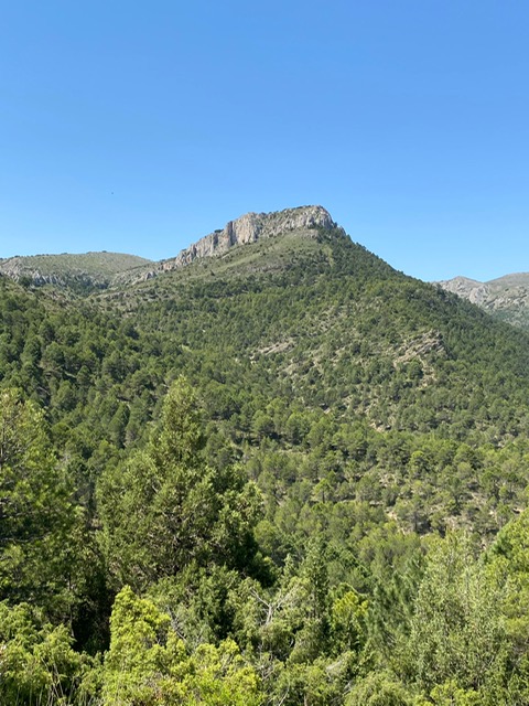 Vista peña Juliana