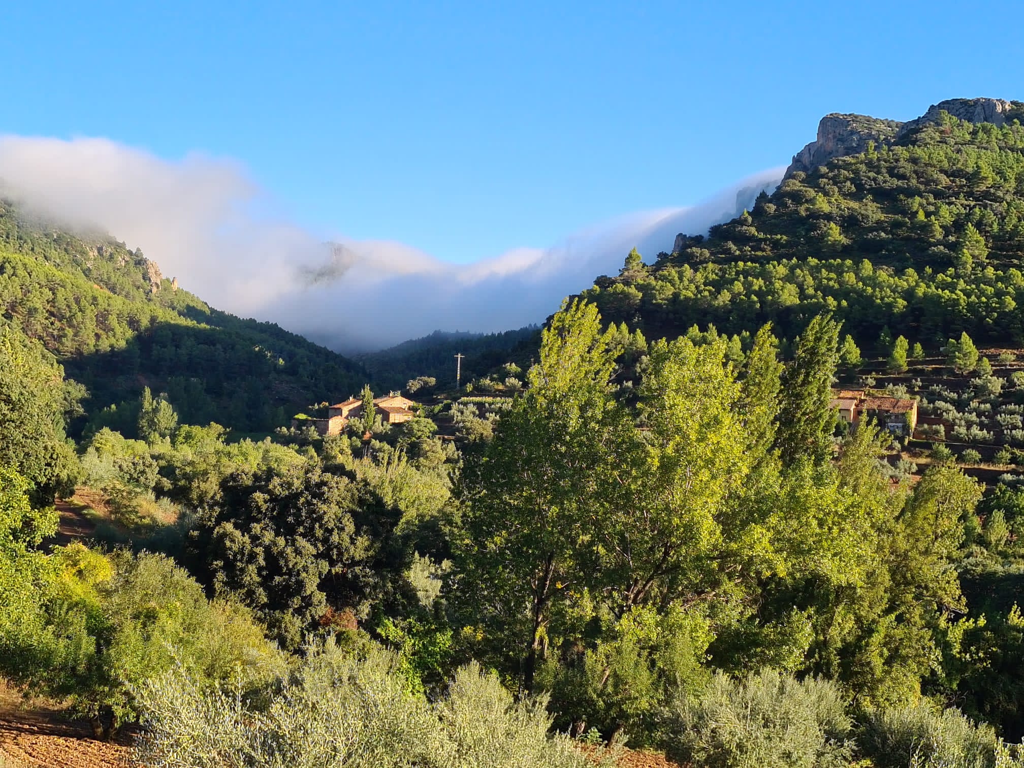 Nieblas tras las lluvias