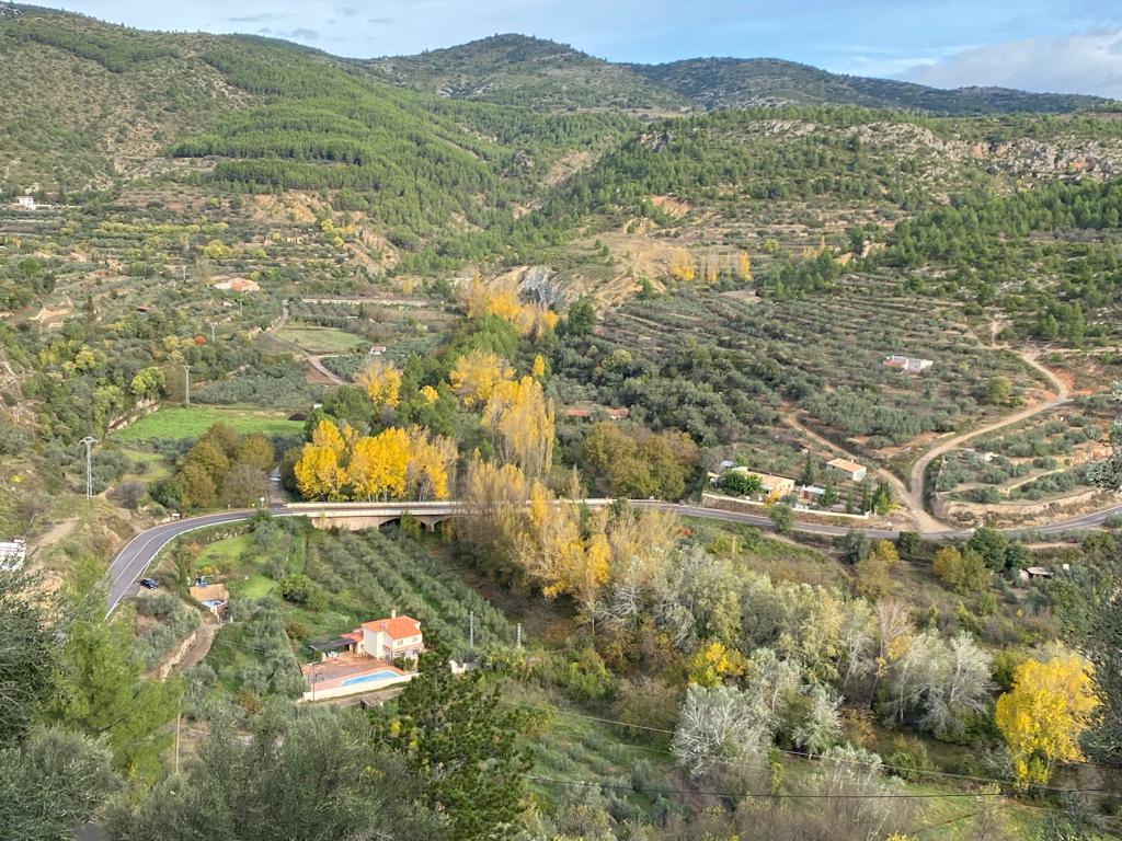 Colores de otoño