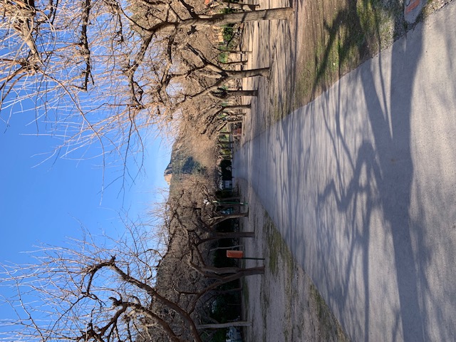 Invierno en Los Cloticos