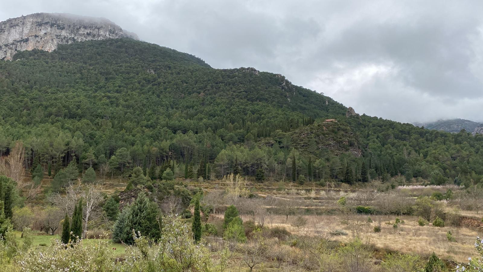 Vista de la escabia el dia del padre
