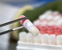 Representative picture of the project