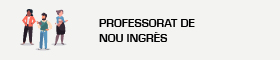 Professorat de nou ingrès