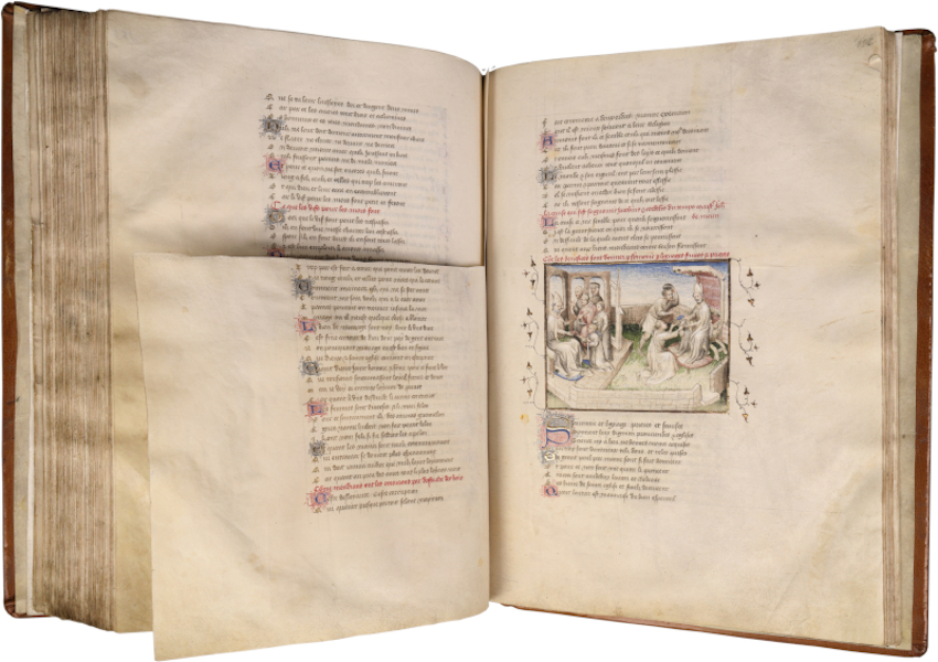 Guillaume de Lorris y Jean de Meung. Roman de la Rose. S. XIV. BH Ms. 387, f. 155r