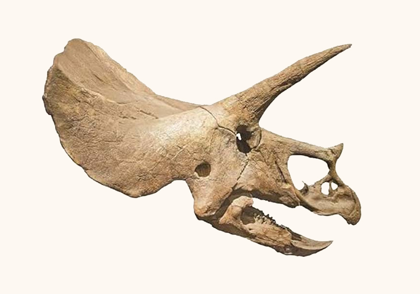 Col.loqui amb motiu de la presentació del llibre