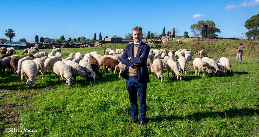 Photo of a man, sheep and a village in the background