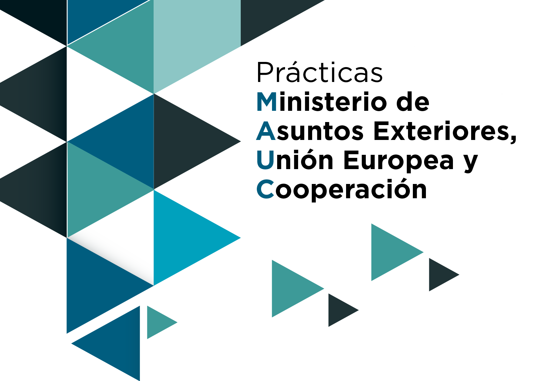 Pràctiques Ministeri d'Afers Exteriors, Unió Europea i Cooperació