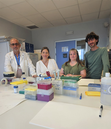 Investigadors de l'estudi