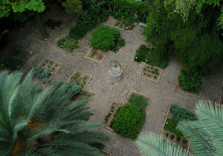 Jardí medicinal del Jardí Botànic UV, part de la Ruta europea.