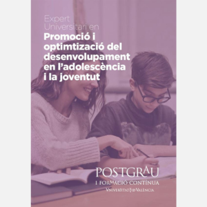 Experto Universitario en Promoción y Optimización del Desarrollo en La Adolescencia y la juventud