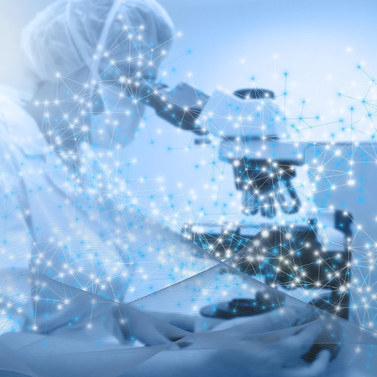 Imagen representativa del proyecto