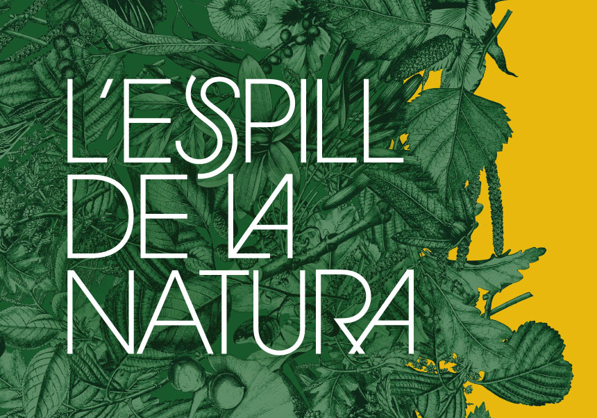 Exposició L'espill de la natura