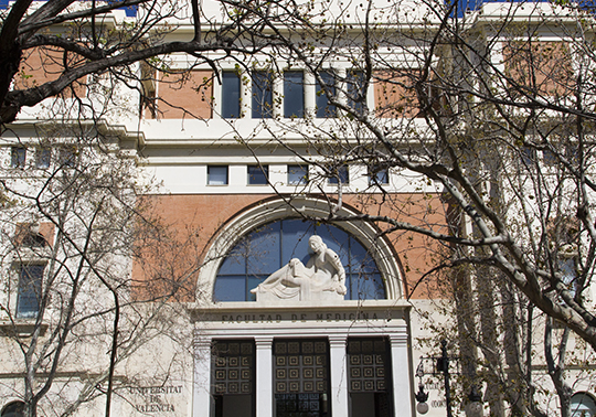 Faculty of Medicine