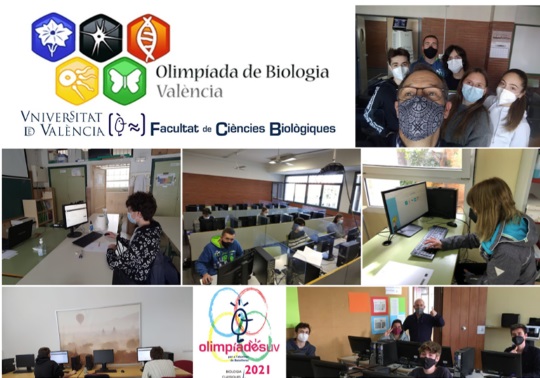 Estudiantes y profesores participando en la prueba