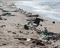 Representative picture of the project