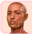 Complete Anatomy en prova